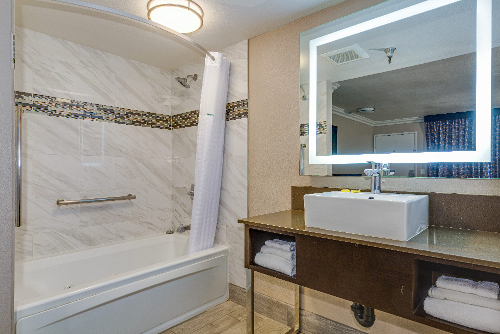 Hotel Seville - Bath Room