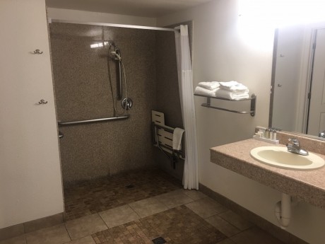 1 King Accessible with Roll In Shower
